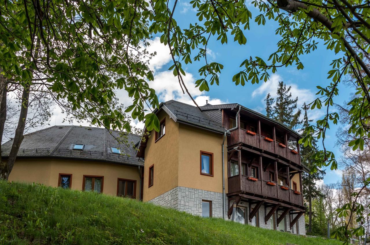 Willa Idylla Hotel Podgórzyn Eksteriør billede
